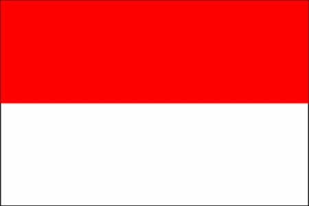 Pol and Indonesian Flag